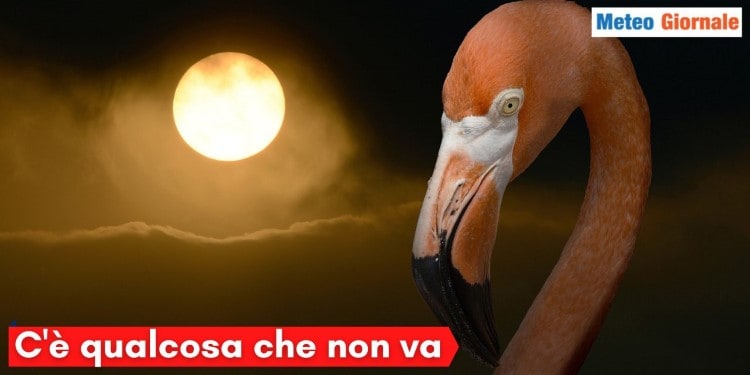 C’è qualcosa che non va: meteo, caldo ad oltranza, tanto sole, attenzione a nebbie e smog