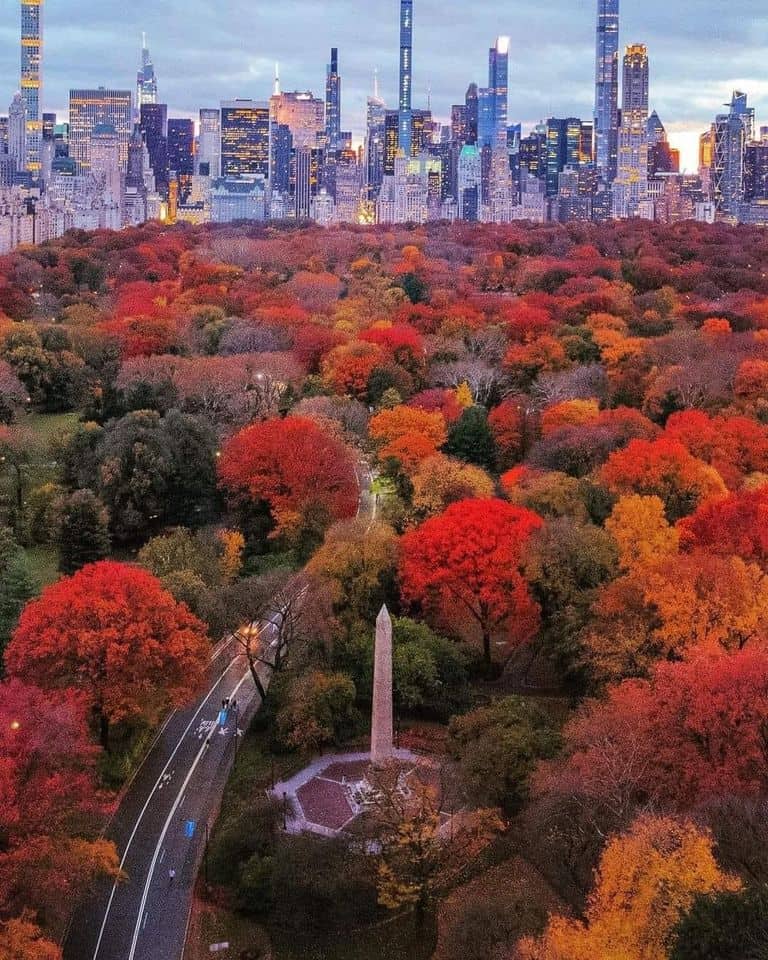 foliage cenral park new york