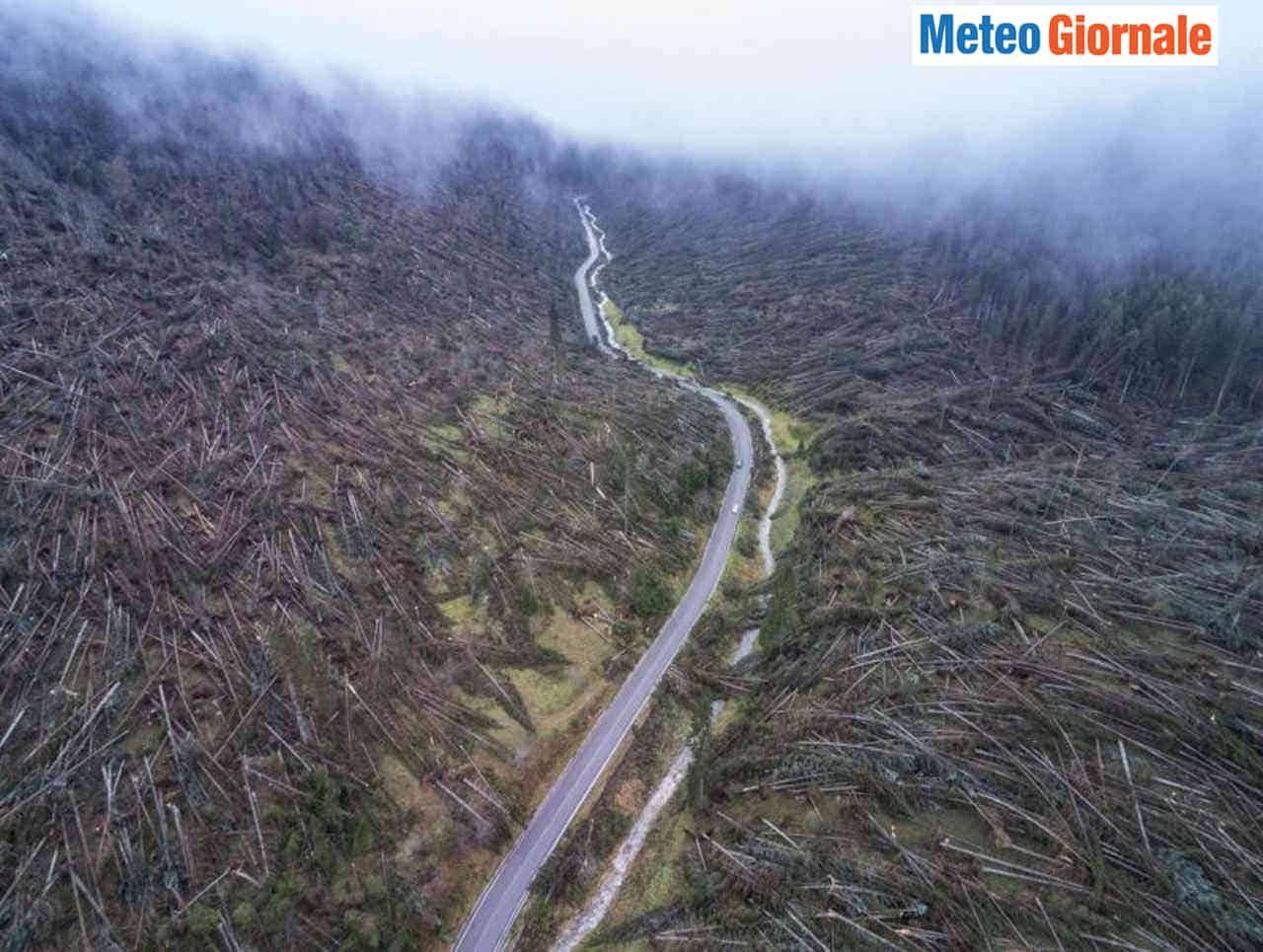 Effetti della Tempesta Vaia sulle foreste alpine