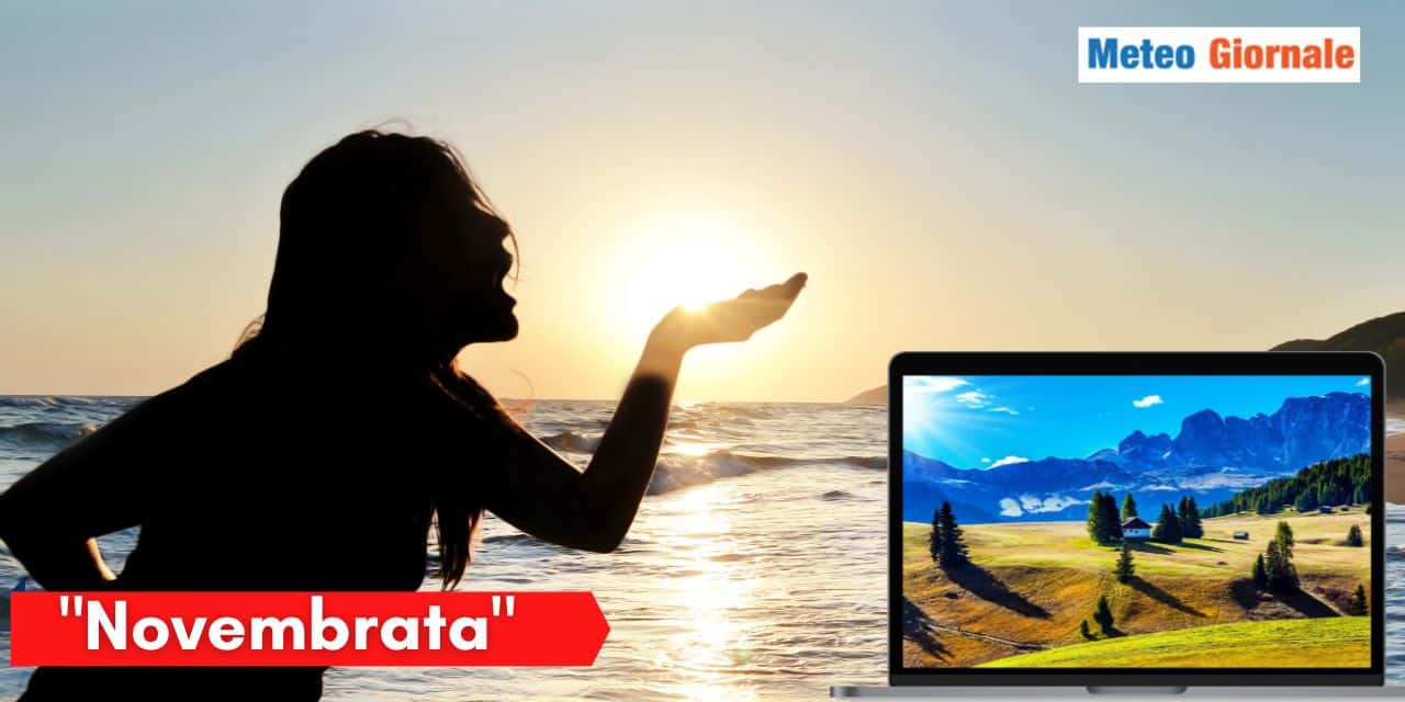 novembrata 65246
