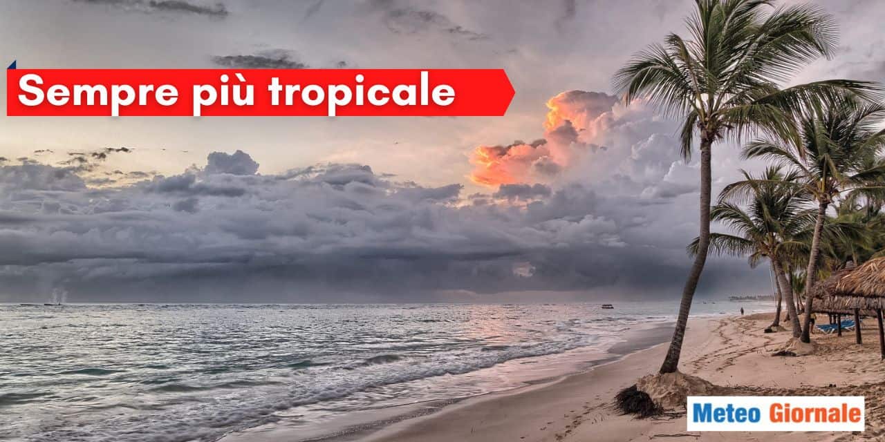 sempre piu tropicale 656