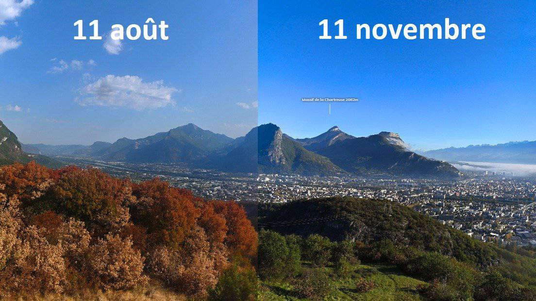 A sinistra, 11 agosto: foglie gialle. A destra, 11 novembre 2022, tutto verdissimo, le foglie sono verdi per il clima eccezionalmente mite.