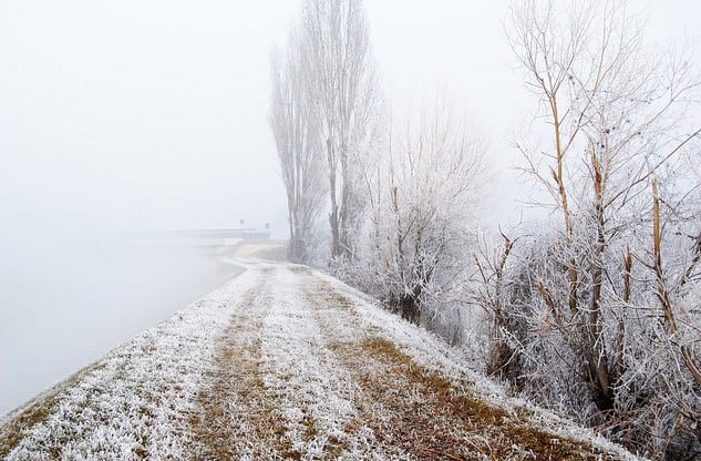 068789 nebbia