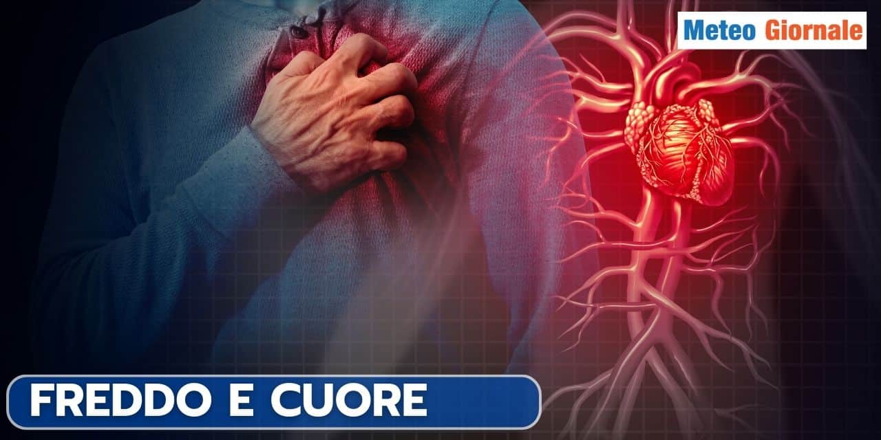 freddo e cuore 75421