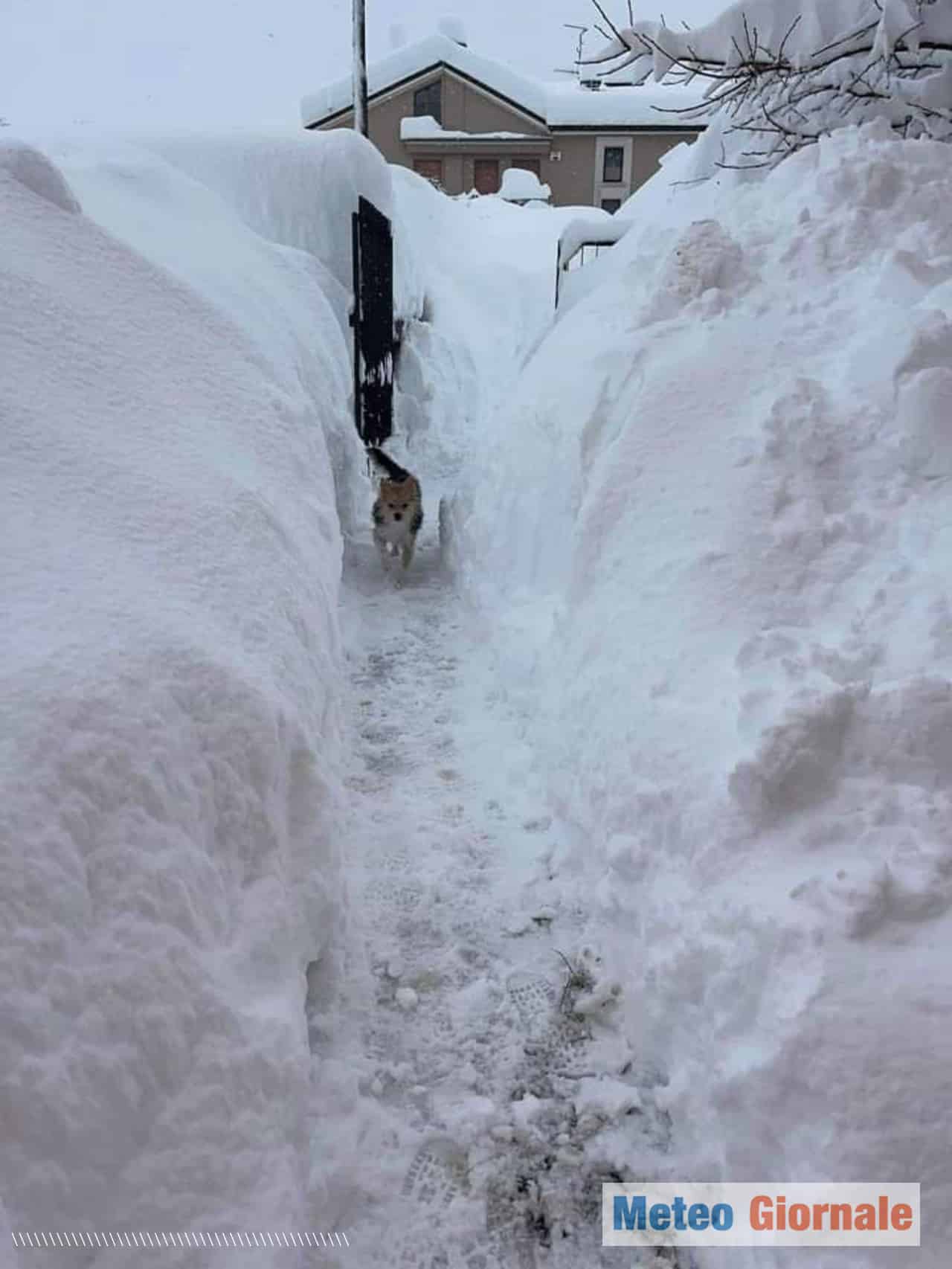 neve italia2 1