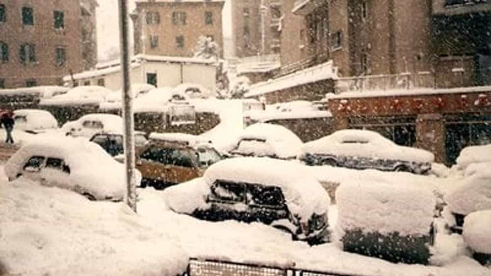 neve roma