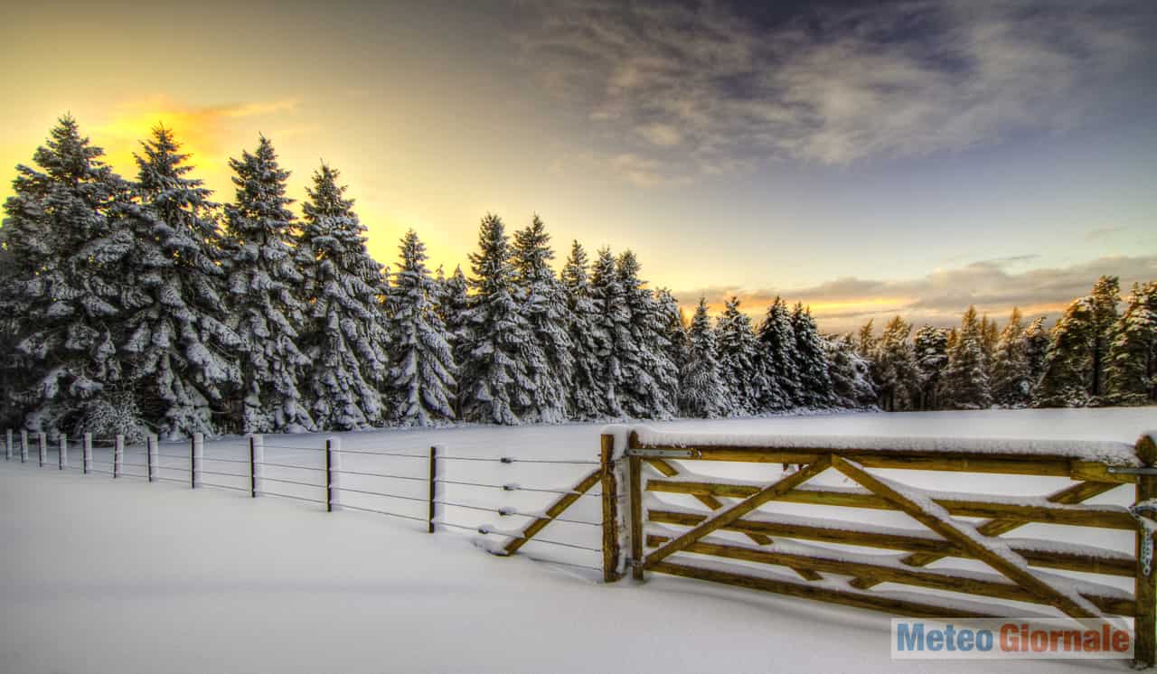 neve2 3