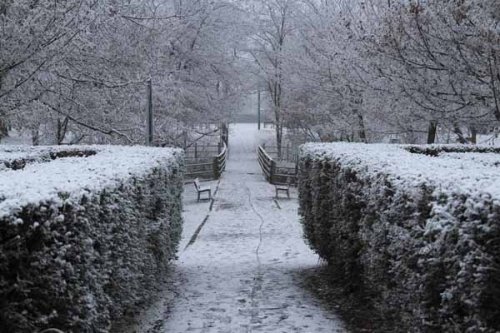 pianura padana grande gelo fra galaverna e neve chimica 22313 1 2