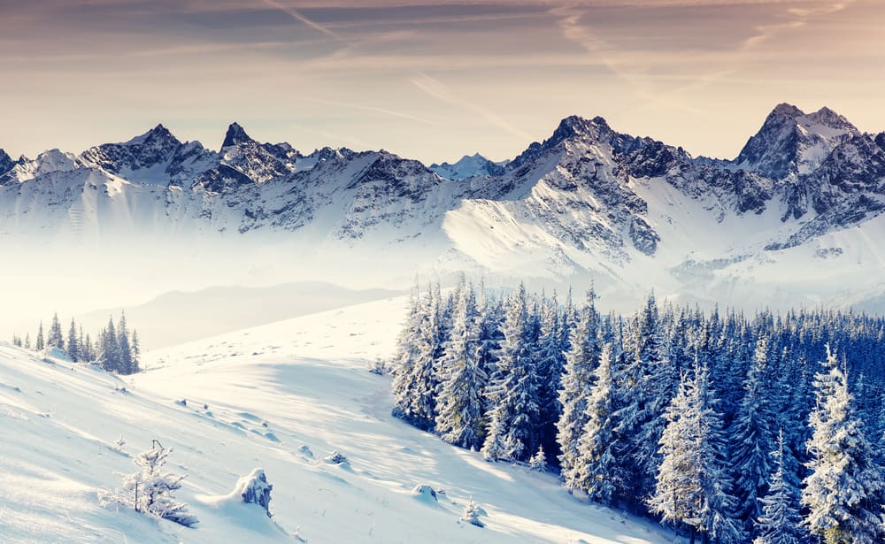 shutterstock 158593451