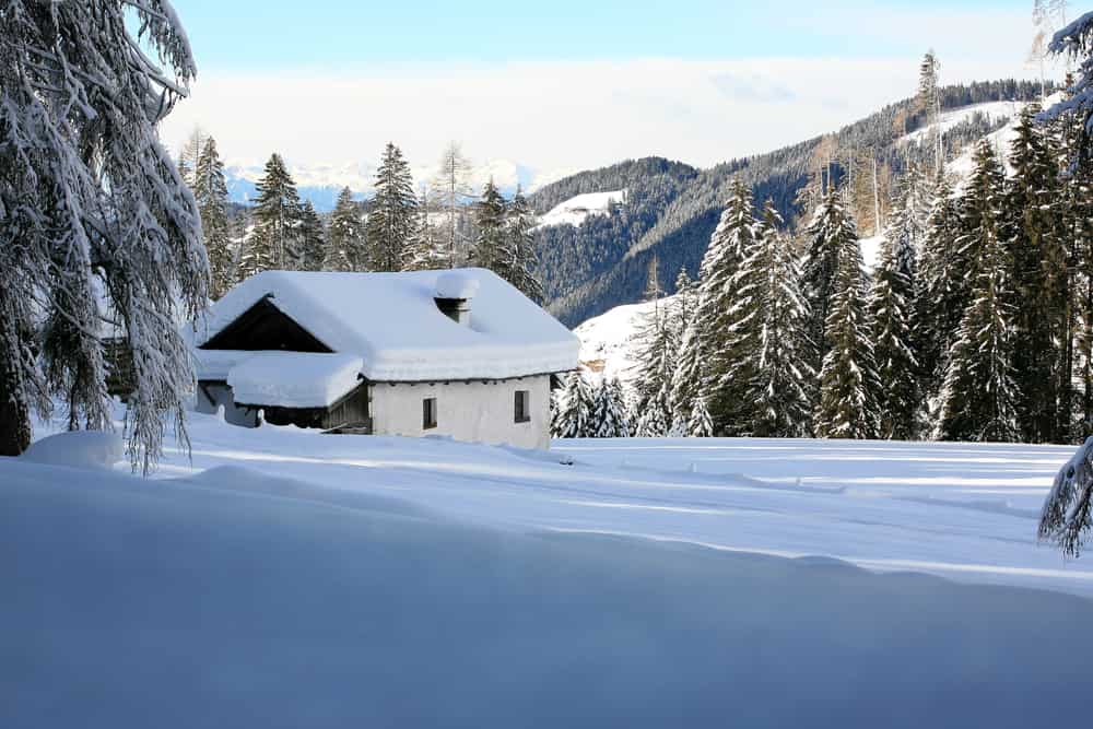 shutterstock 1902945763