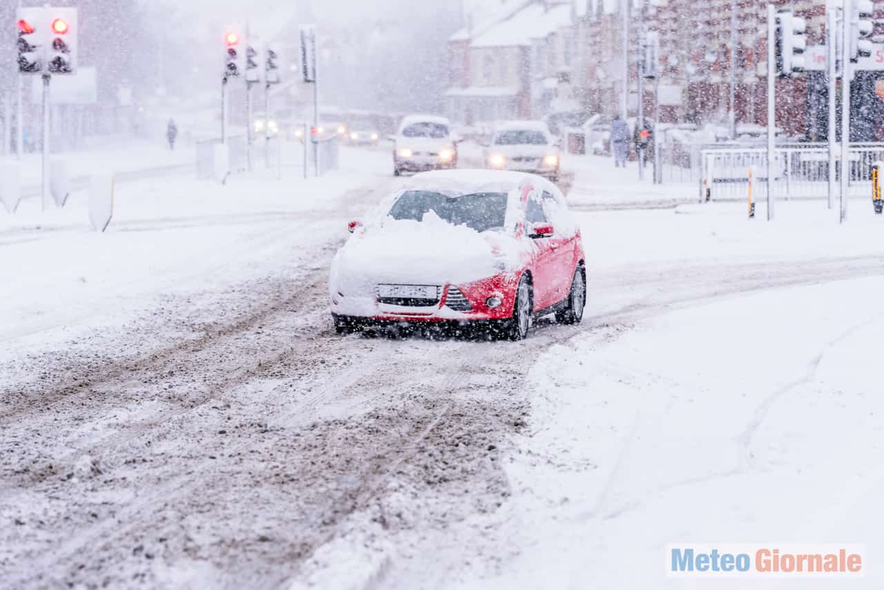 shutterstock 782201485 1