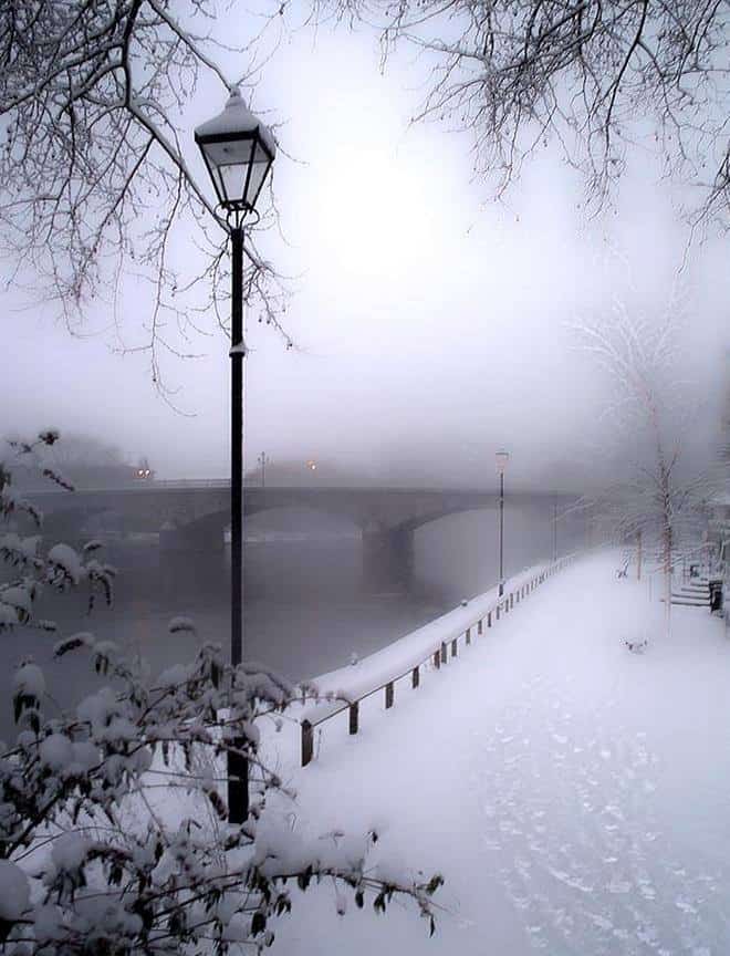 winter 11