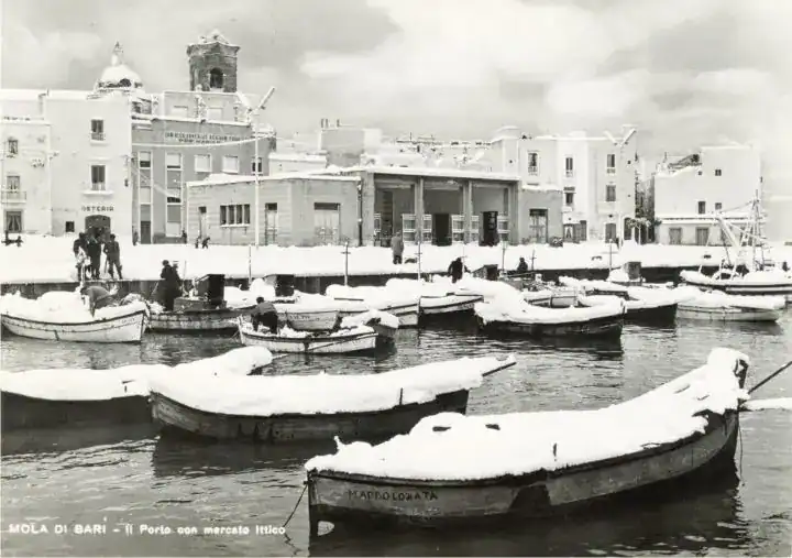 Mola di bari.jpg