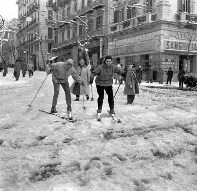 NEVICATA 56
