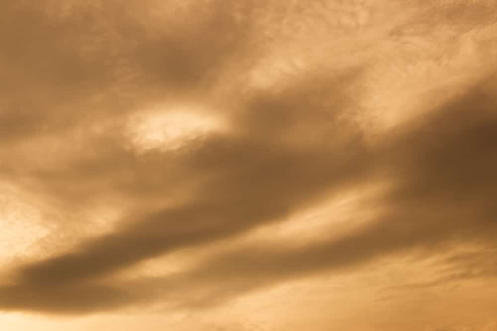 shutterstock 1104037703