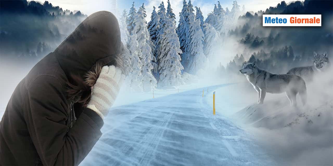 tempo da lupi meteogiornale 250223