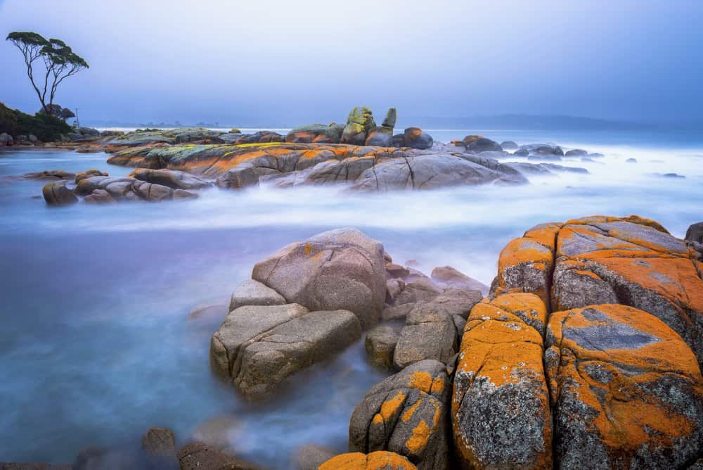 Bay of Fires Tasmania Australia