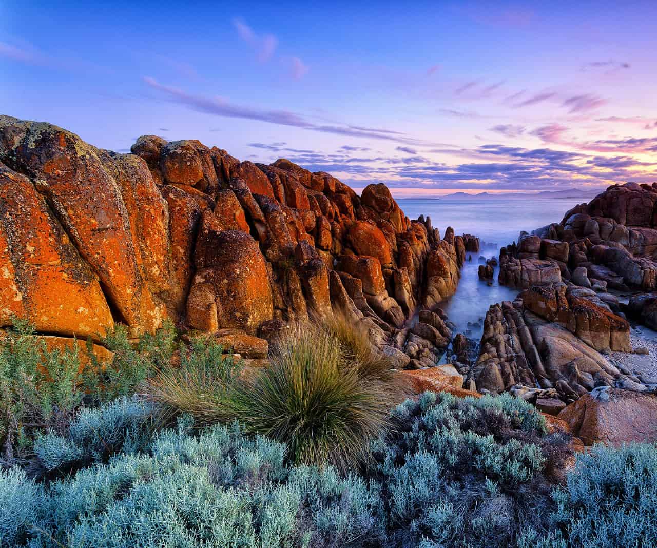 Viaggio in Tasmania: un'avventura nell'isola selvaggia dell'Australia 37 Viaggio in Tasmania: un’avventura nell’isola selvaggia dell’Australia