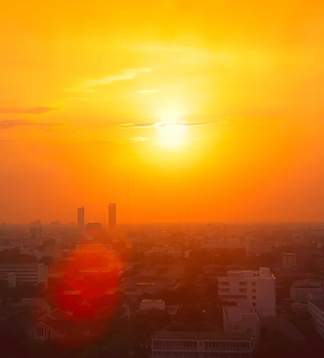 Ondate di Calore Estreme: a rischio il 40% delle specie viventi! Lo studio drammatico