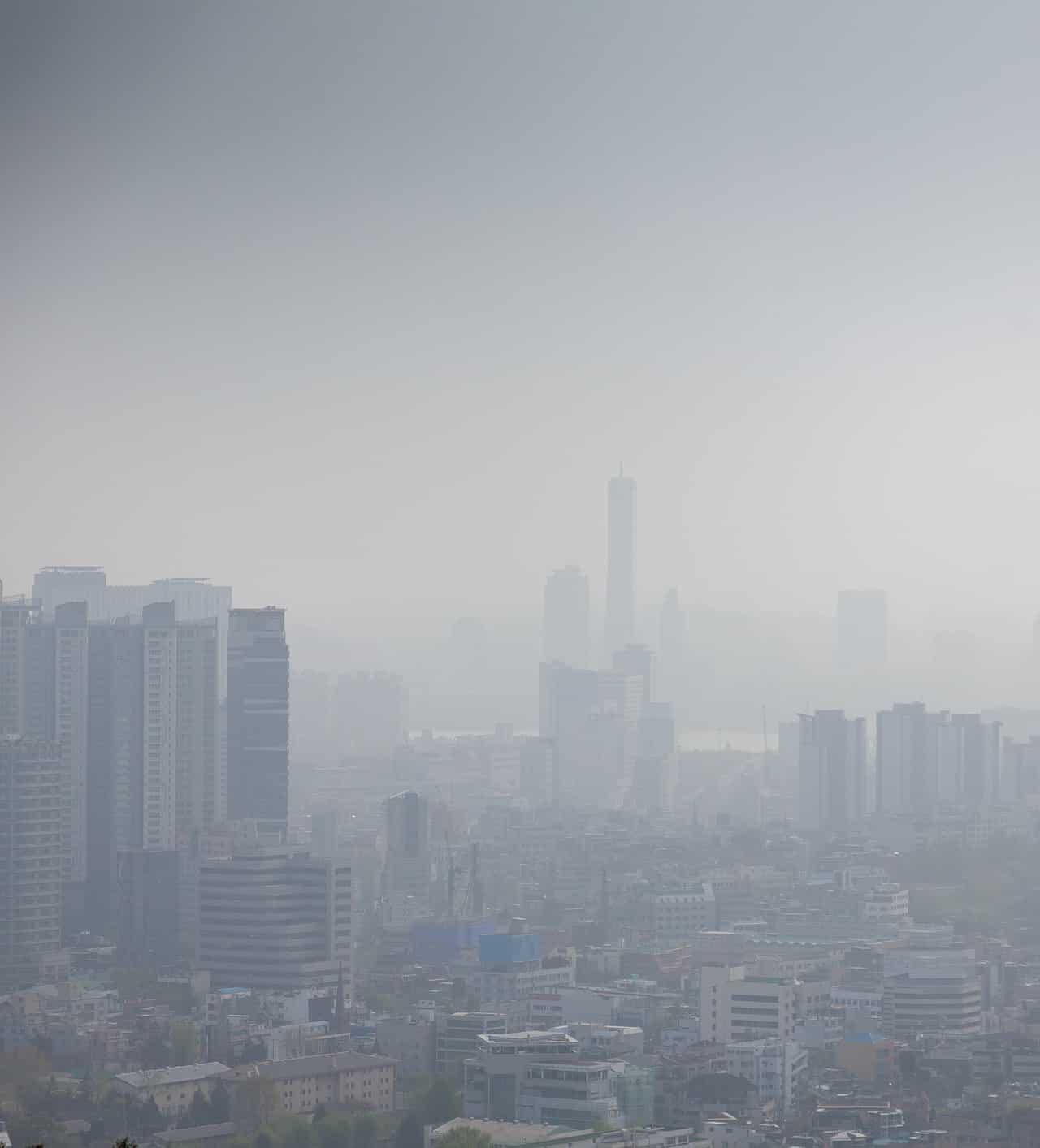 Smog: le particelle finisco nel cervello, con danni neurologici importanti! Lo studio