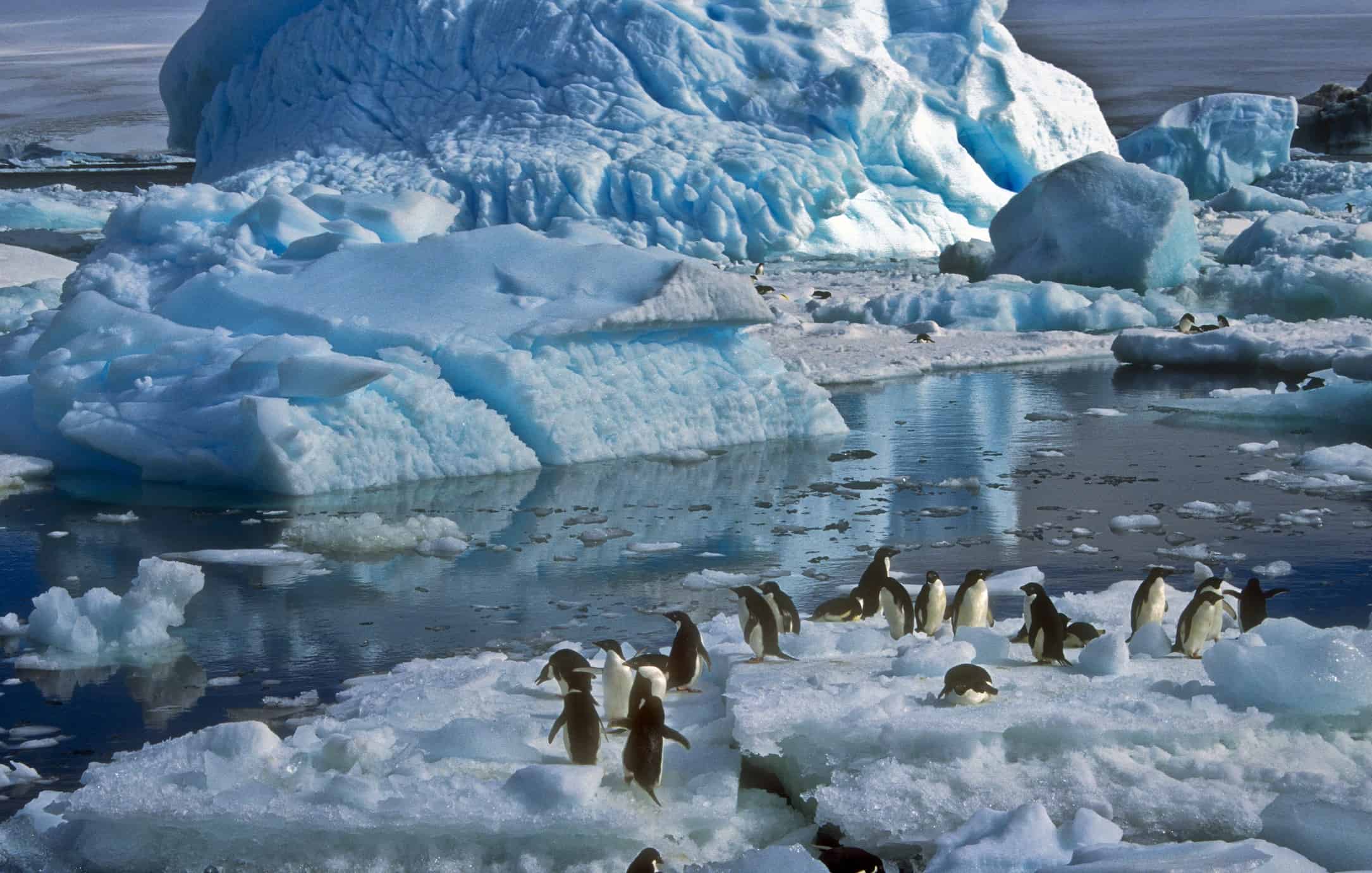Cambiamenti climatici: anche l’Antartide si sta stravolgendo, i dettagli