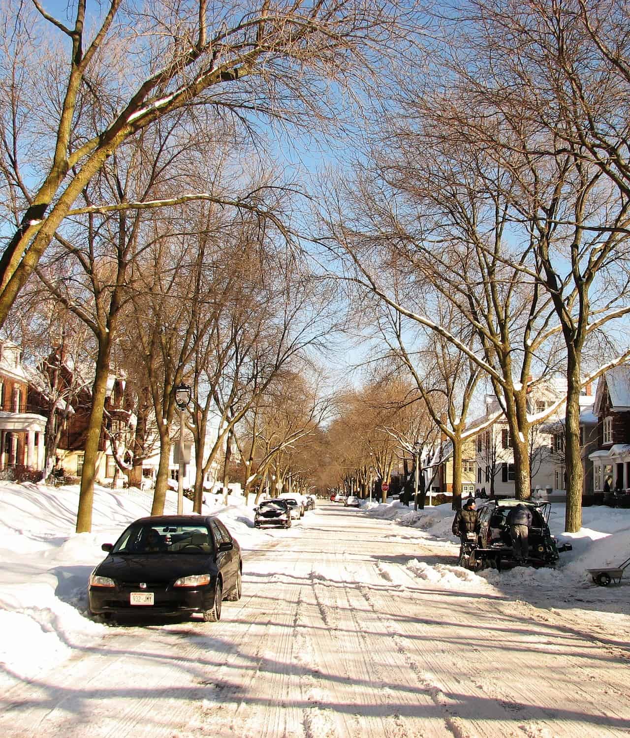 METEO: gran gelo in Canada, con -40°C, record di caldo in Florida 14 METEO: gran gelo in Canada, con -40°C, record di caldo in Florida