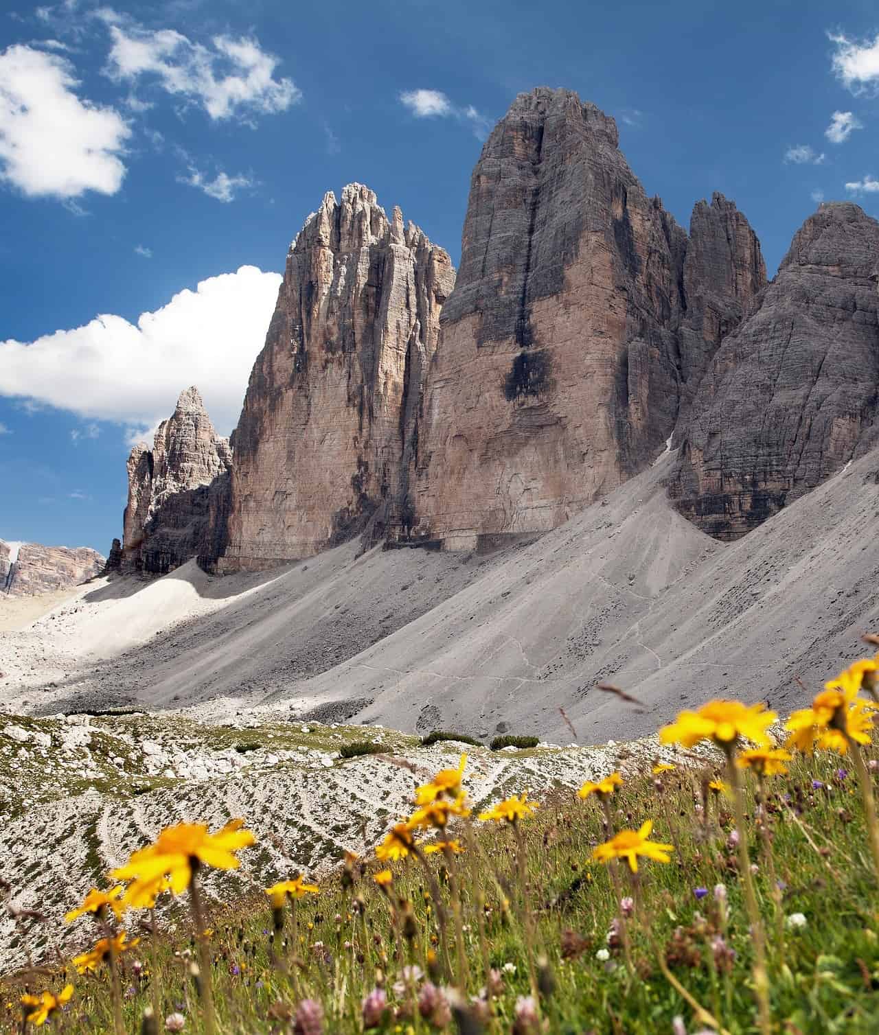 Piante sulle Alpi: migrano sempre più in alto, a causa del caldo. Lo studio 18 Piante sulle Alpi: migrano sempre più in alto, a causa del caldo. Lo studio