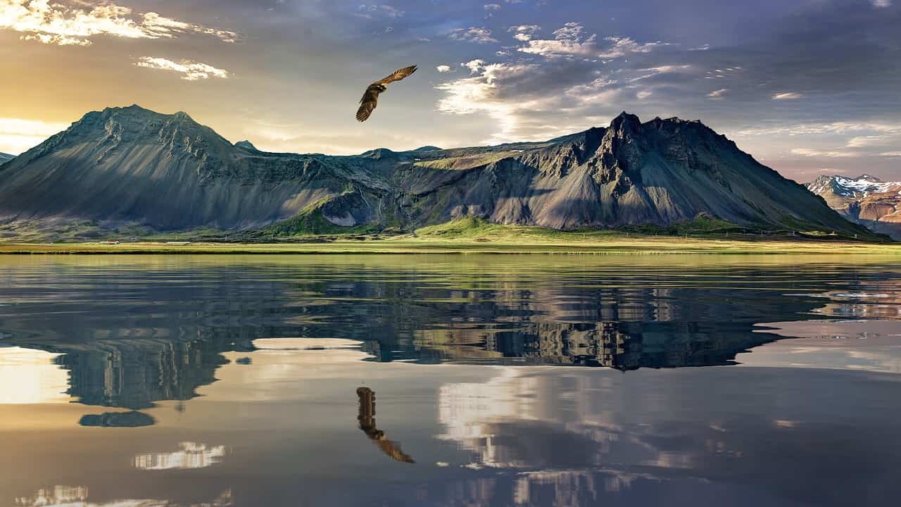 Storia della Terra: la Zelandia, l’Ottavo Continente! Ecco i dettagli affascinanti