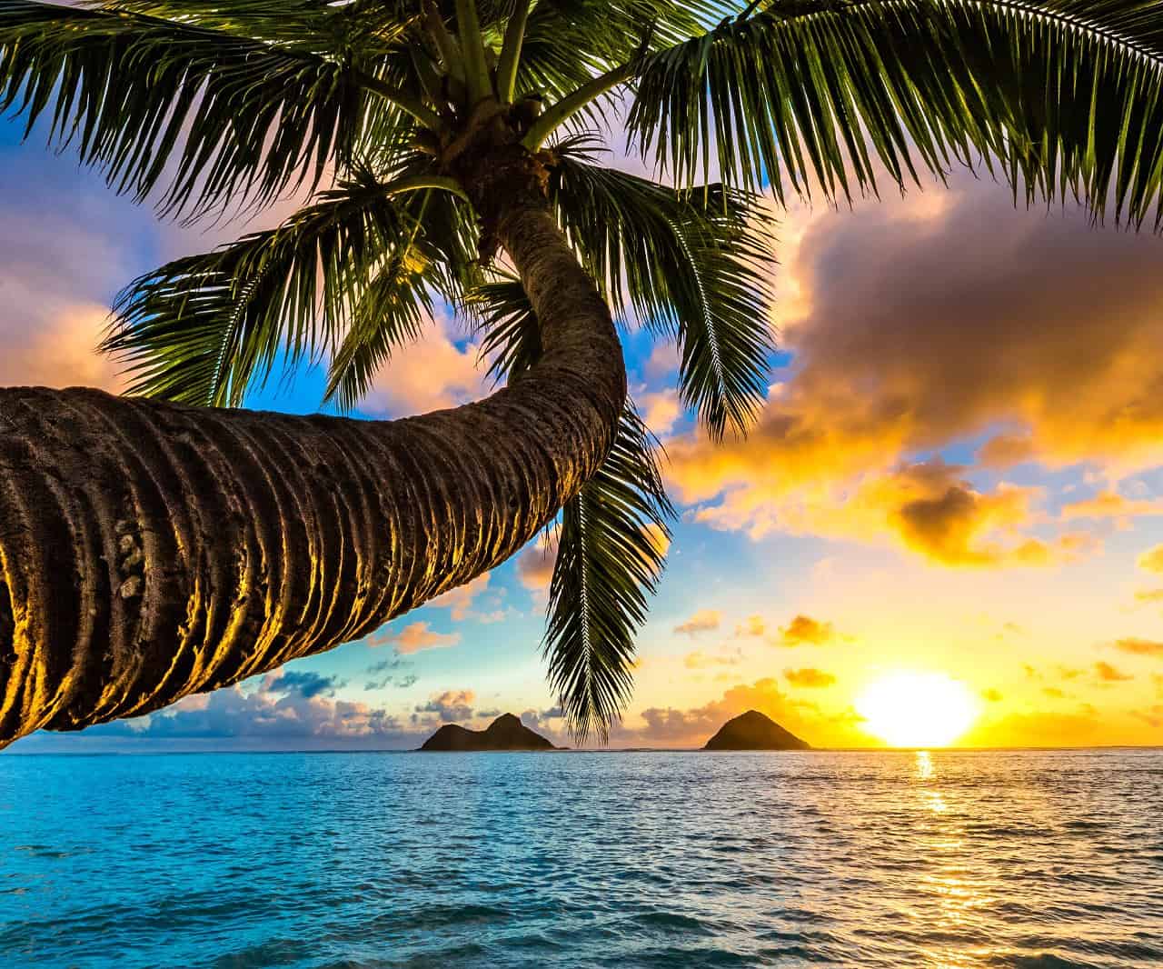 Hawaii: tra paradisiache spiagge, Vulcani, prelibatezze locali e clima tropicale tutto l'anno 46 Hawaii: tra paradisiache spiagge, Vulcani, prelibatezze locali e clima tropicale tutto l’anno