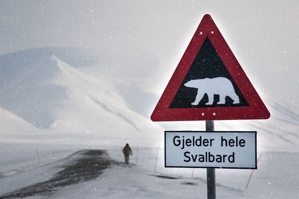 isole svalbard muoversi
