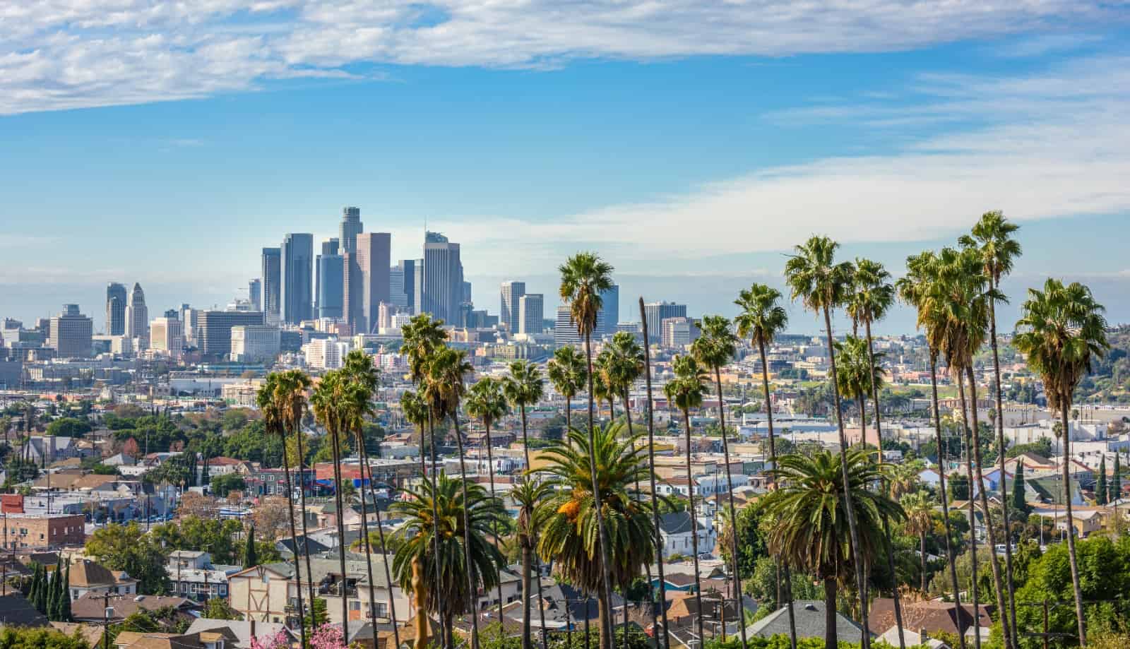 Organizzare un viaggio indimenticabile a Los Angeles: alla scoperta della California!