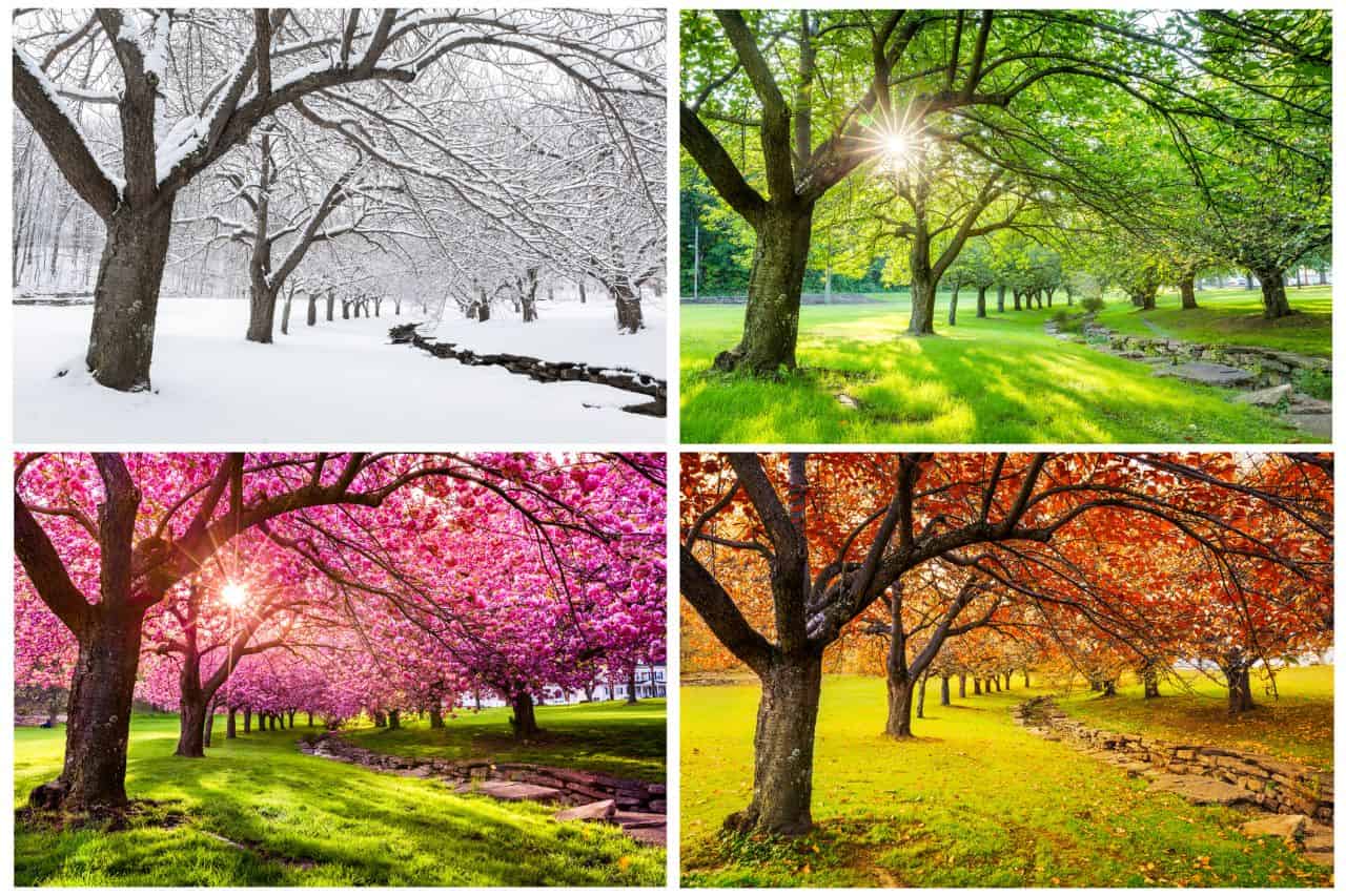 Meteo e clima d’Italia: i cambiamenti sotto la lente di Köppen. Il Nord Ovest 19 Meteo e clima d’Italia: i cambiamenti sotto la lente di Köppen. Il Nord Ovest