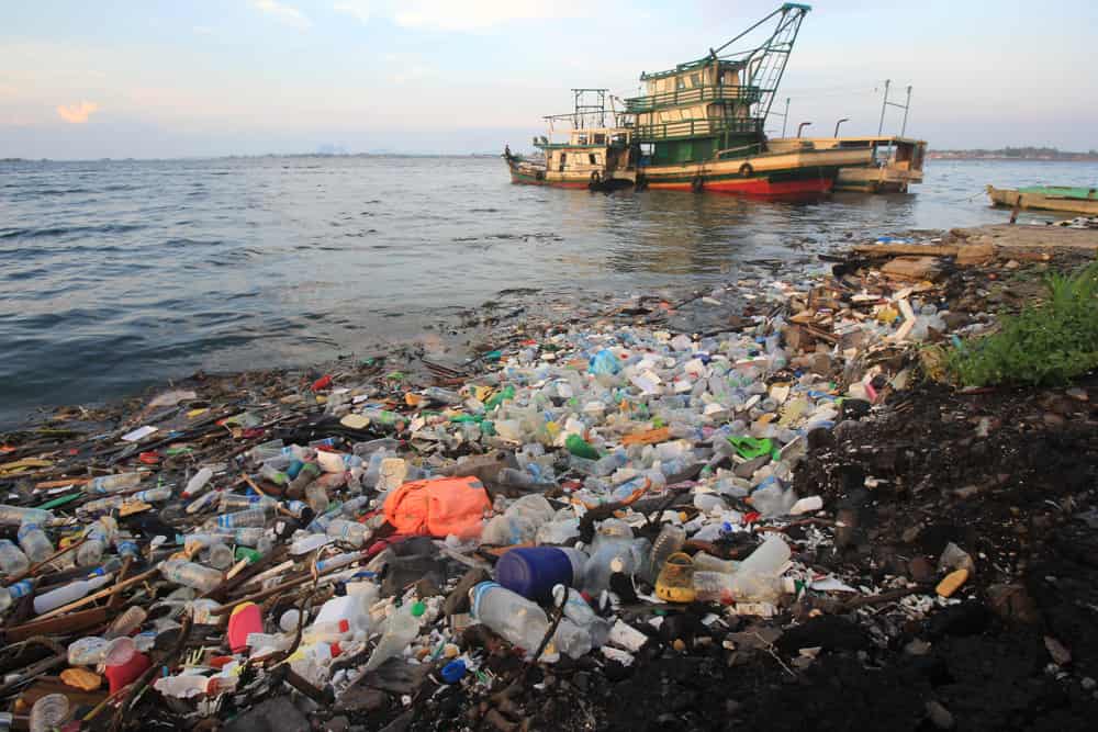 Plastica nell’Artico: i segni di un Disastro Ambientale. Lo studio