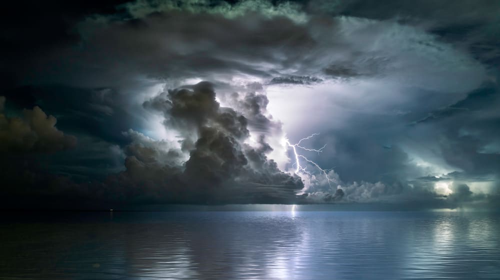 shutterstock 1910488969