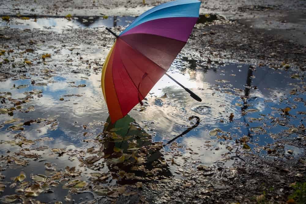 shutterstock 2203810615