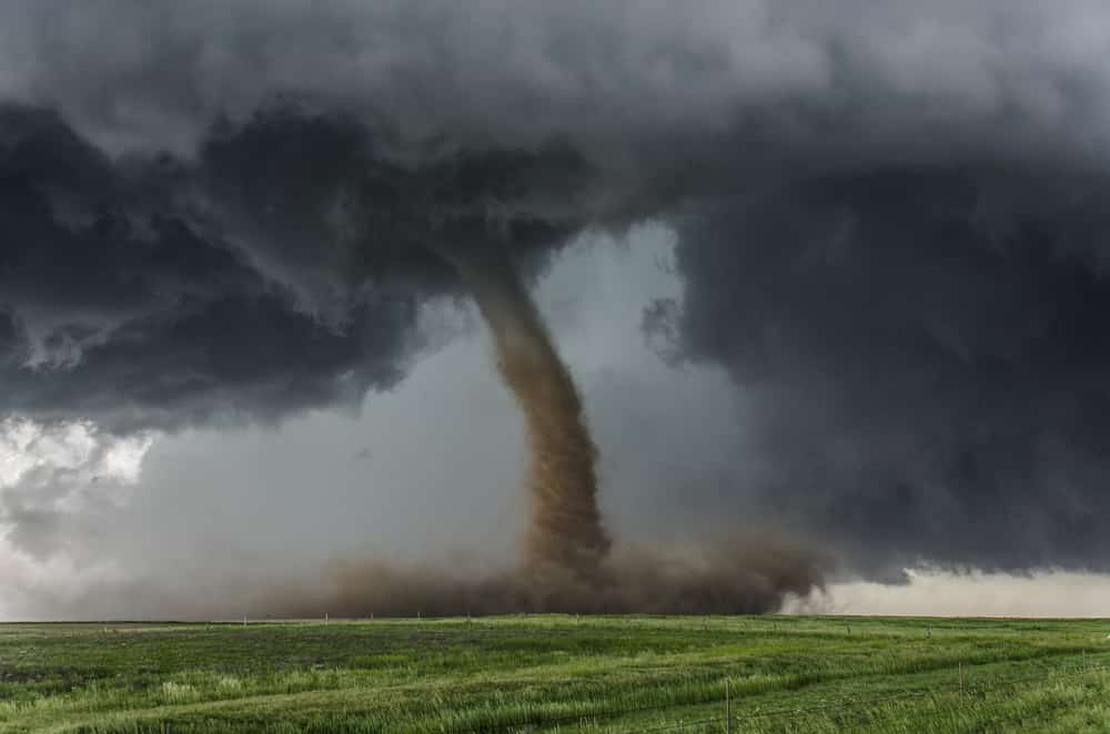 shutterstock 287138930