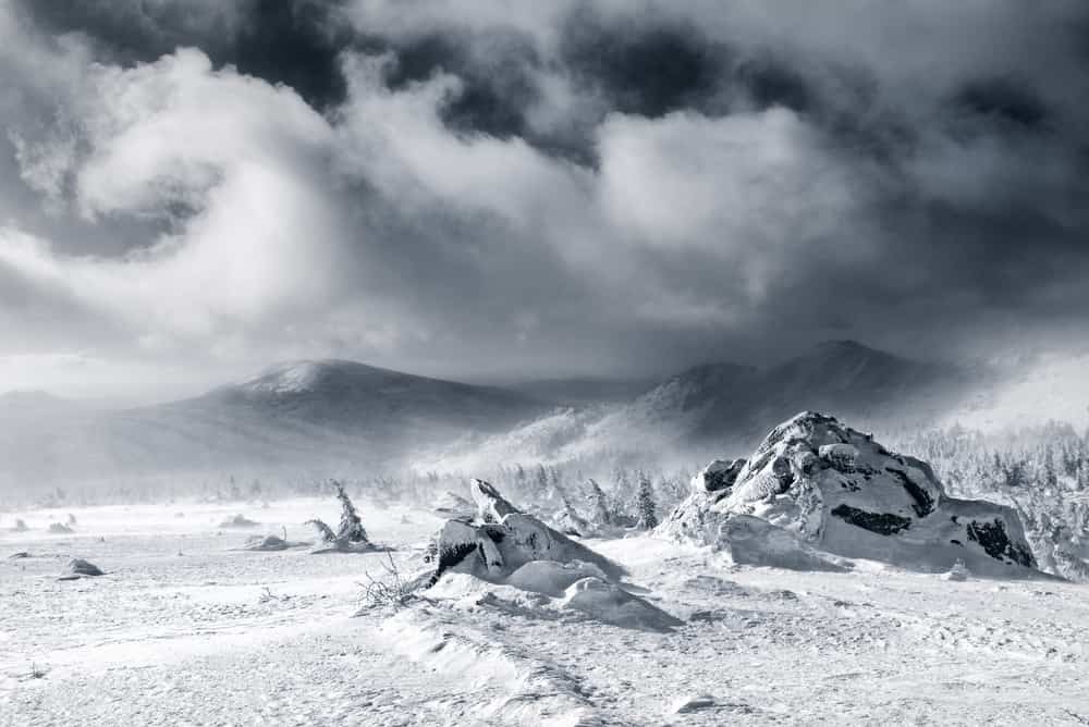 shutterstock 296440880