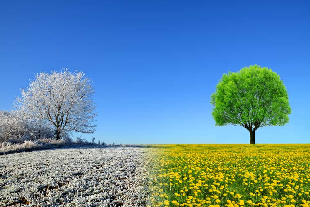 shutterstock 563232481