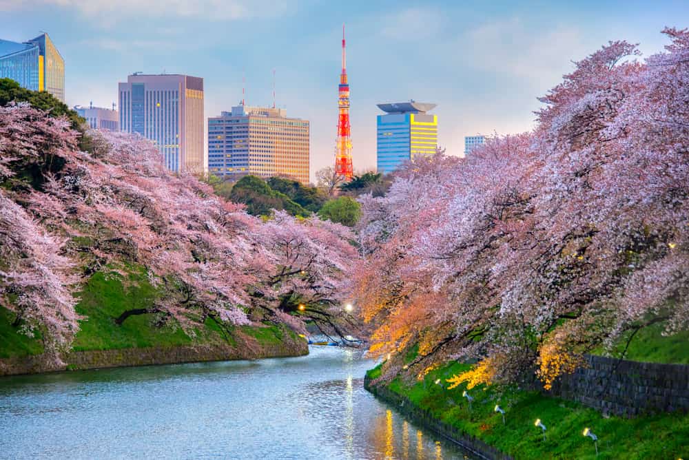 shutterstock 577077346