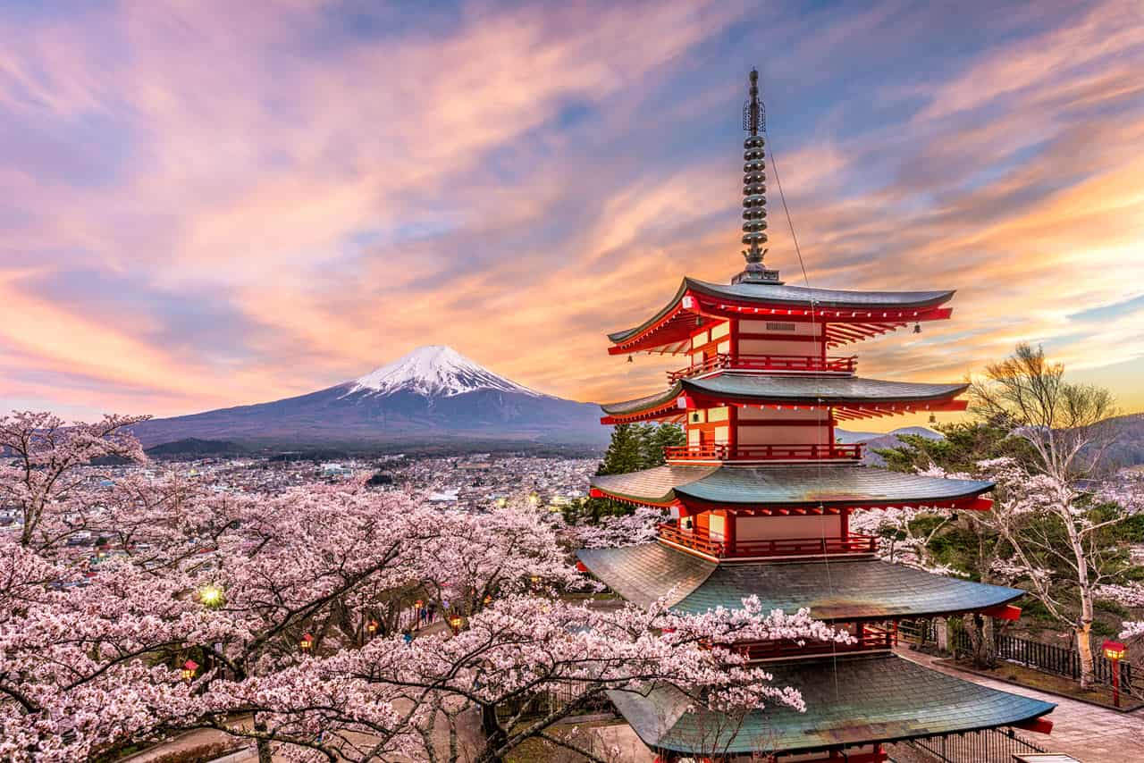 Sempre più precoce, ecco la magica fioritura dei ciliegi a Tokyo. Un evento noto in tutto il Mondo