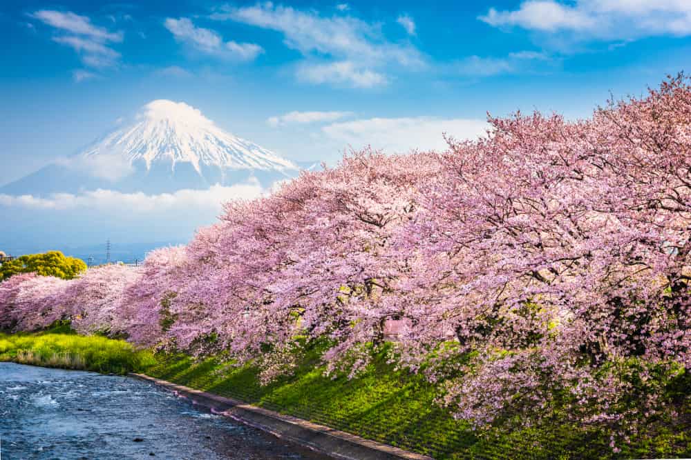shutterstock 777733873