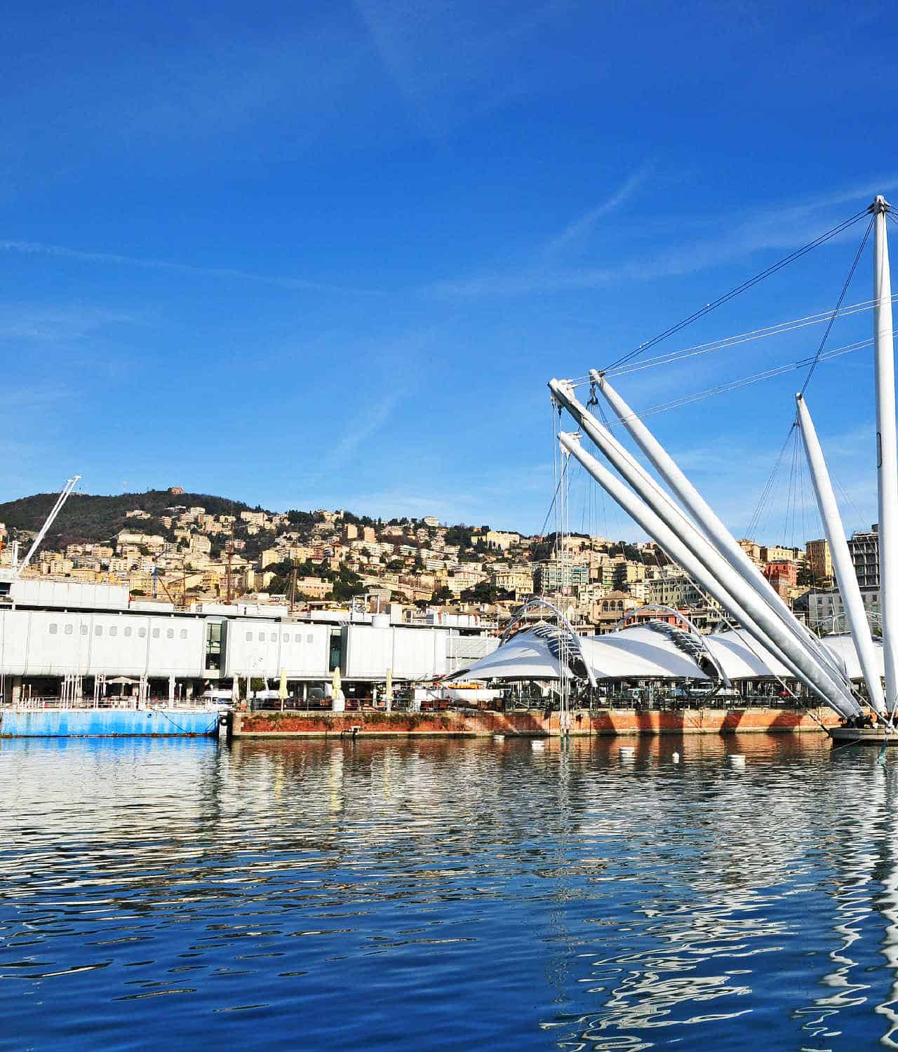 Meteo Genova: molto sole, freddo al mattino 25 Meteo Genova: molto sole, freddo al mattino
