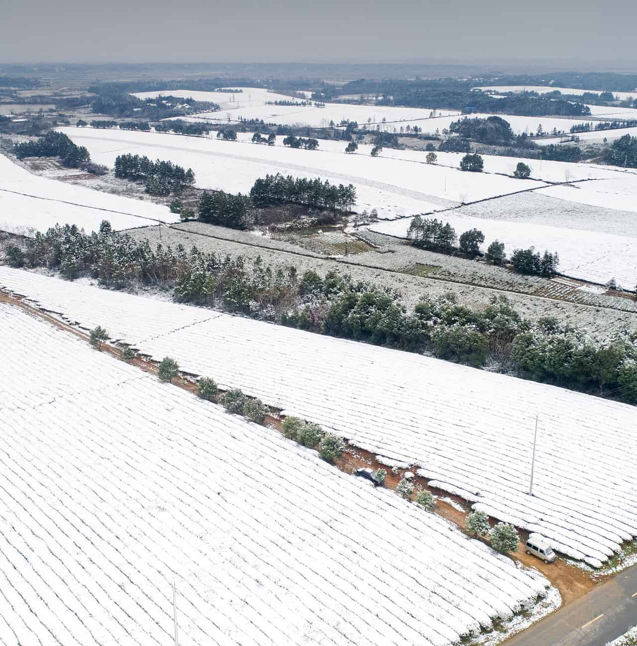 METEO: eccezionale nevicata precoce in Brasile, freddo in Antartide