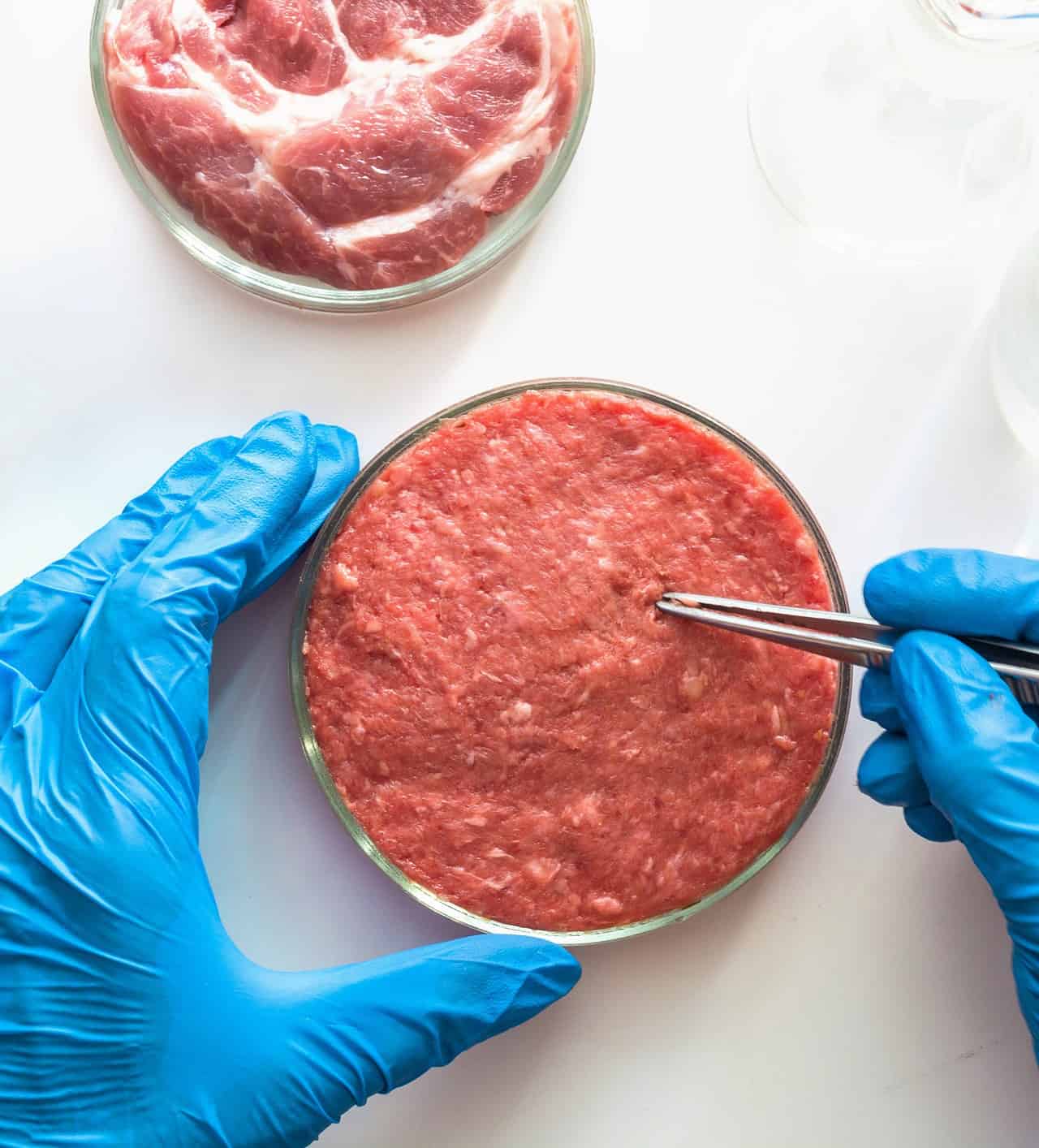 Carne Sintetica: una soluzione agli allevamenti intensivi? La risposta lascia basiti