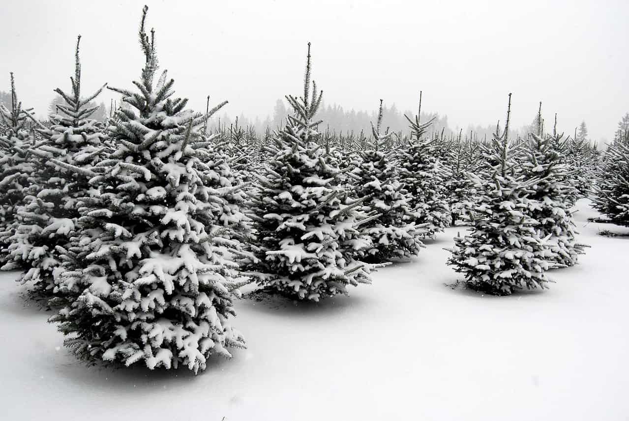 dreamstime m 17486049