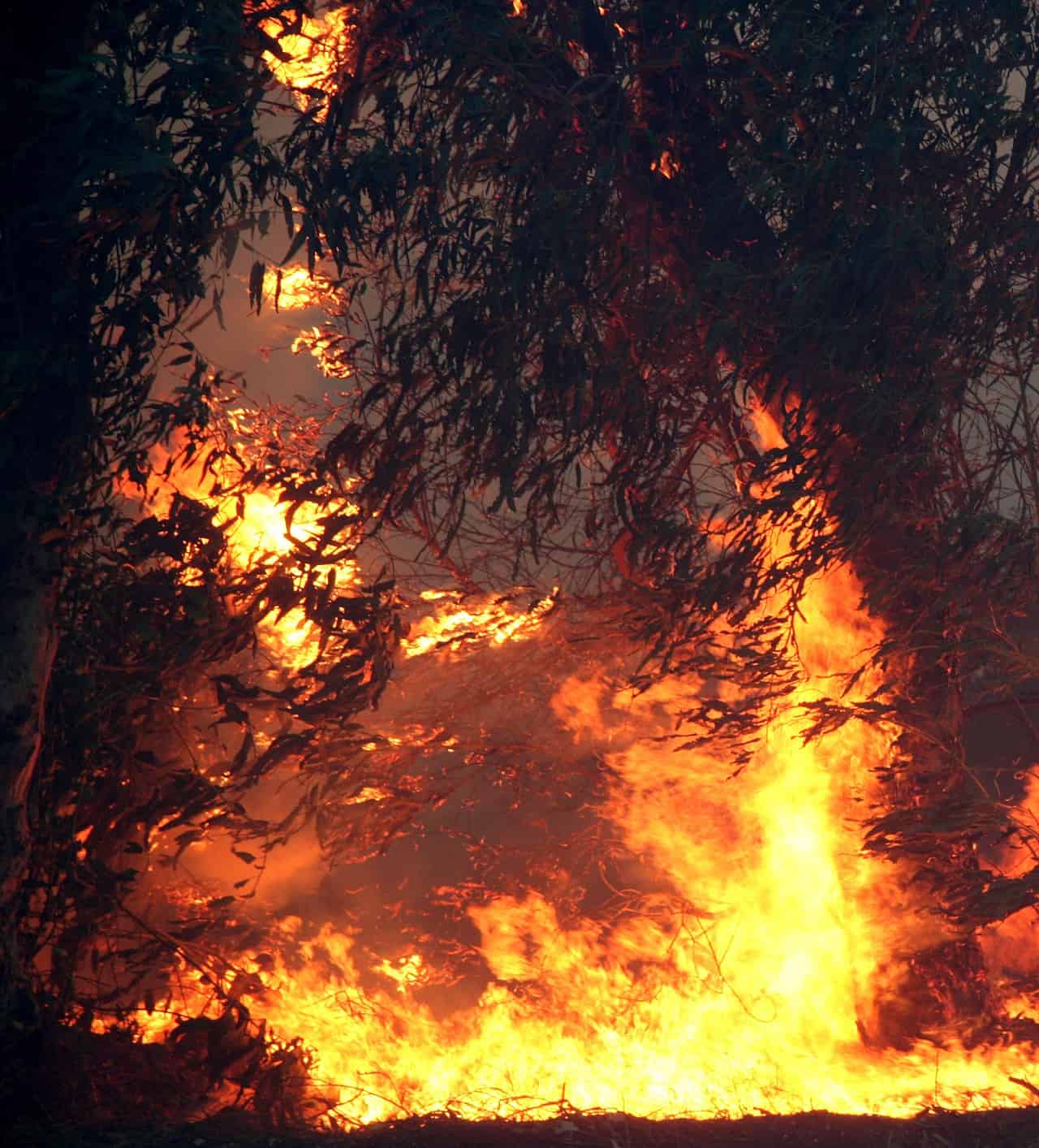 Esistono incendi “benevoli