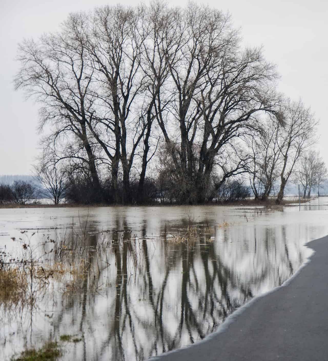 Alluvione da improvvisa fusione di enorme quantità di neve 20 Alluvione da improvvisa fusione di enorme quantità di neve