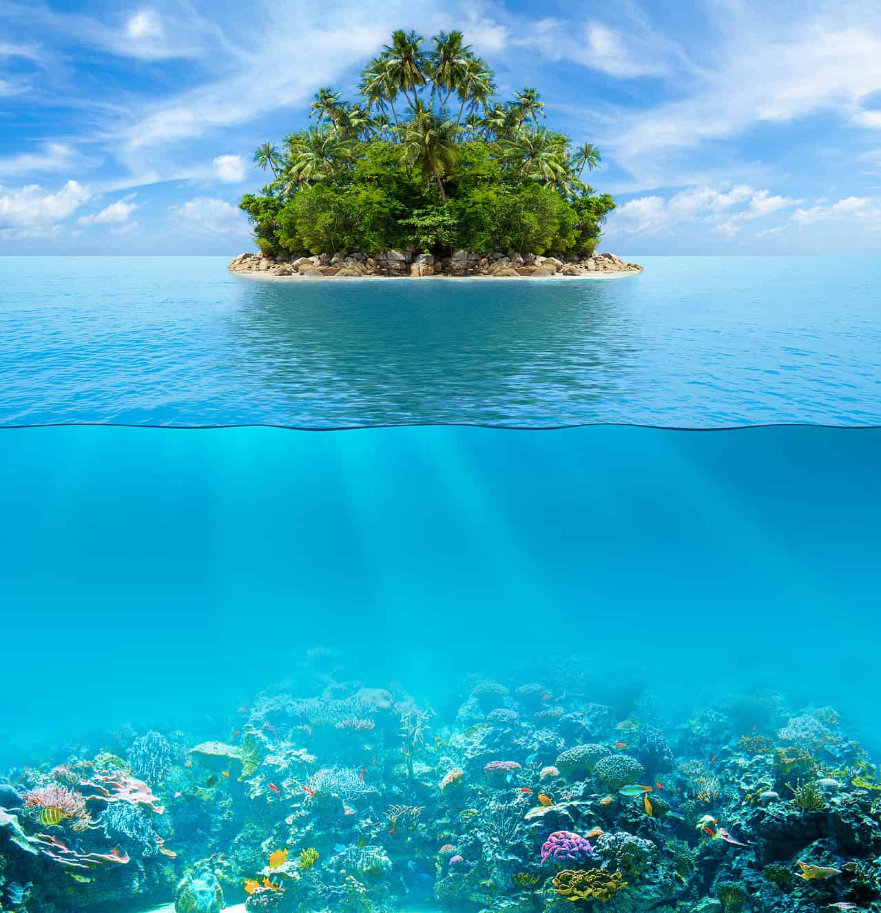 dreamstime m 44480084