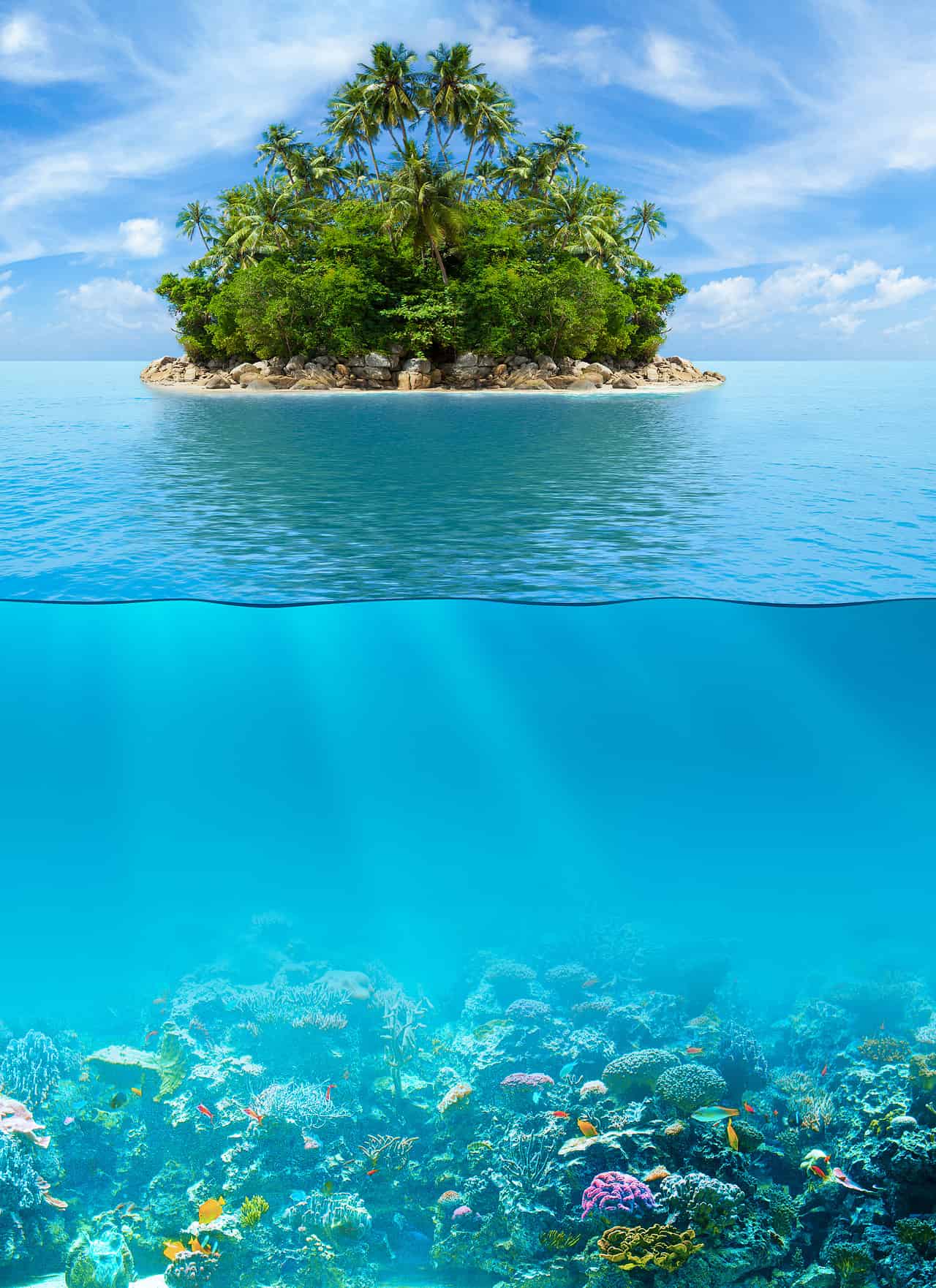 Ondate di calore: non solo sulla Terra ma pure in Fondo al Mare!