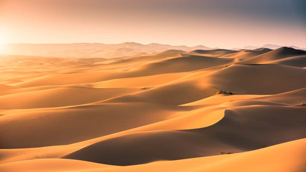 Deserto del Gobi mongolia